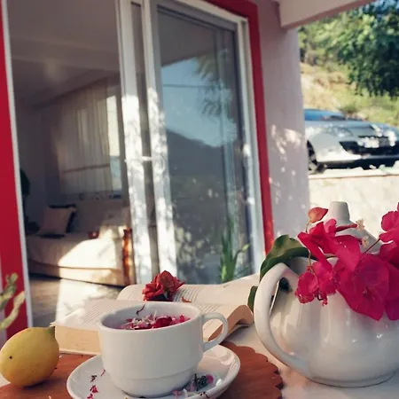 Genis Bahceli Barbekuelue Kir Evi Kozalak Evleri *